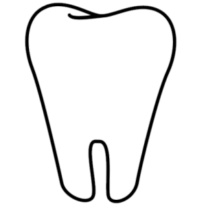 Desenho Dente PNG, dente png fundo transparente, dente em png, fundo dente png