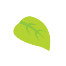 Folha verde png, imagem de folha verde