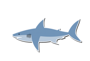 Tubarão PNG Desenho, Animal Feroz Tubarão, Tubarão Cinza
