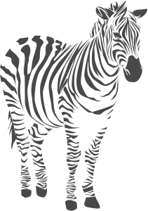 Zebra PNG, Animal Terrestre PNG, Ilustração PNG