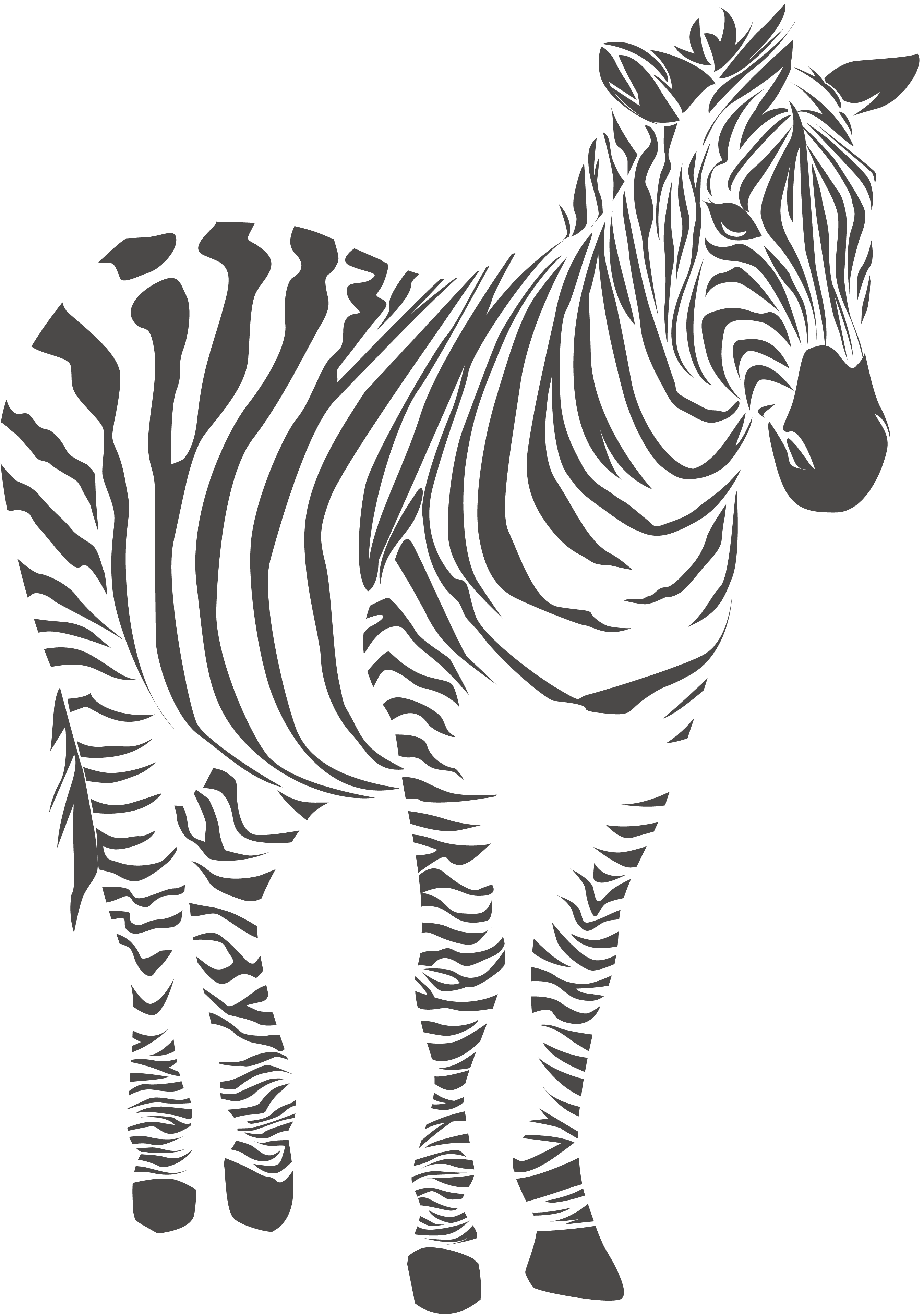 Zebra PNG, Animal Terrestre PNG, Ilustração PNG