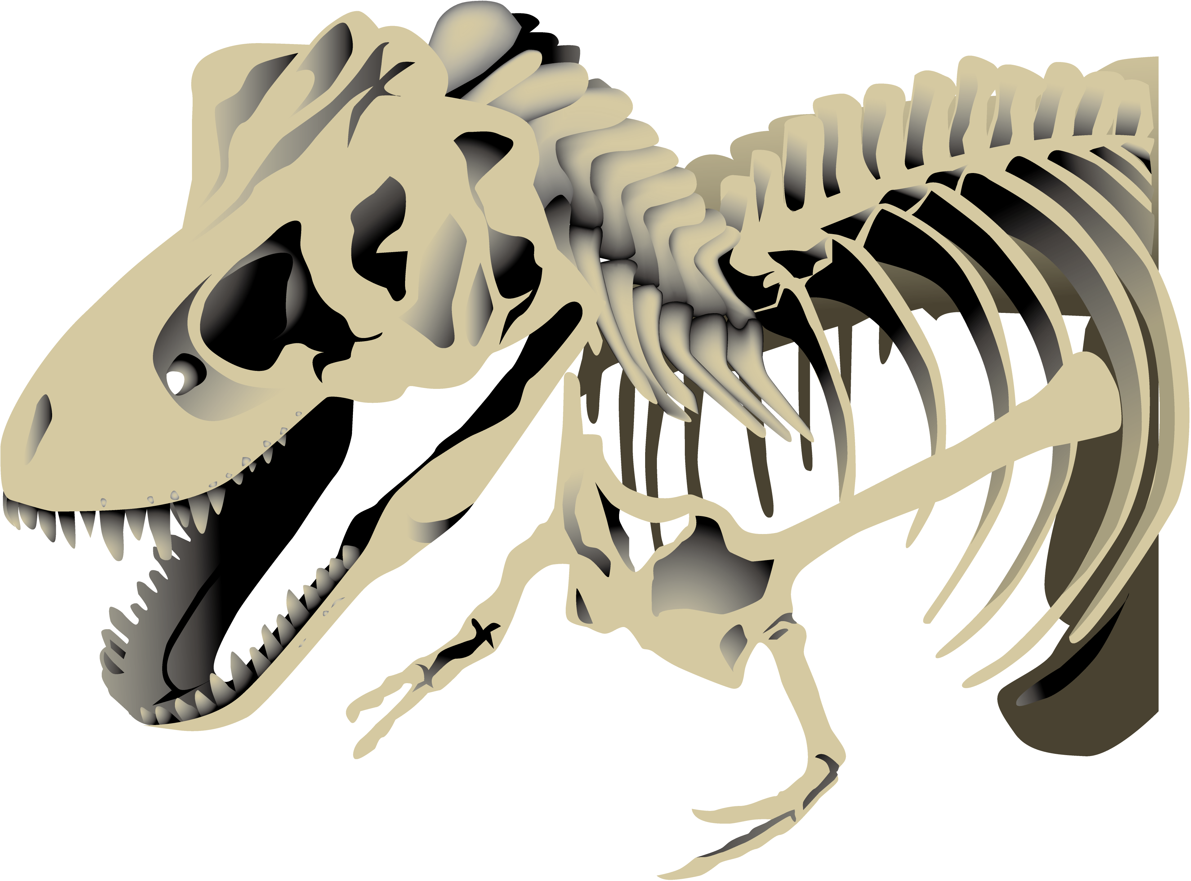 Dinossauro, Desenho, Tiranossauro png transparente grátis
