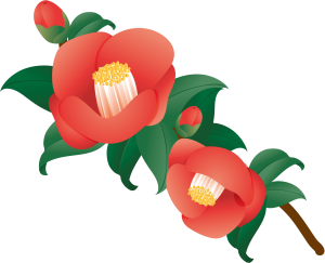 Flores Vermelha PNG, Flores e Folhas PNG, Flores PNG Fundo Transparente, Flores Camélia, Desenho de Flores, Flores Coloridas