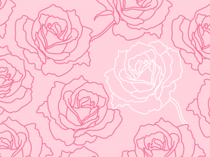Fundo Floral Rosa e Branco, Fundo com Flores, Fundo PNG, Wallpaper Rosa