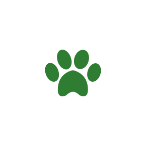 Pata Verde PNG, Desenho de pata cachorro, pata png, silhueta pata 