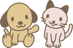 Cachorro e gato png, cão e gato png, animais png