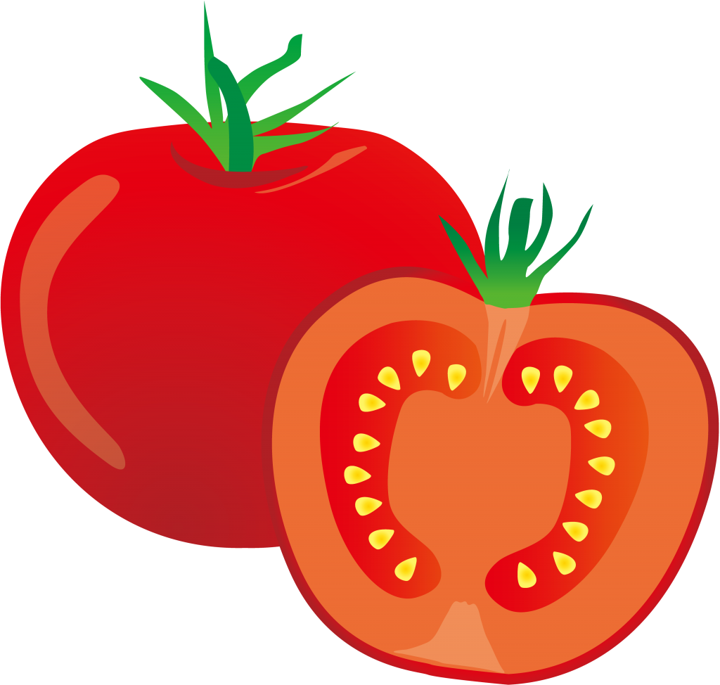 Desenho de tomate cortado