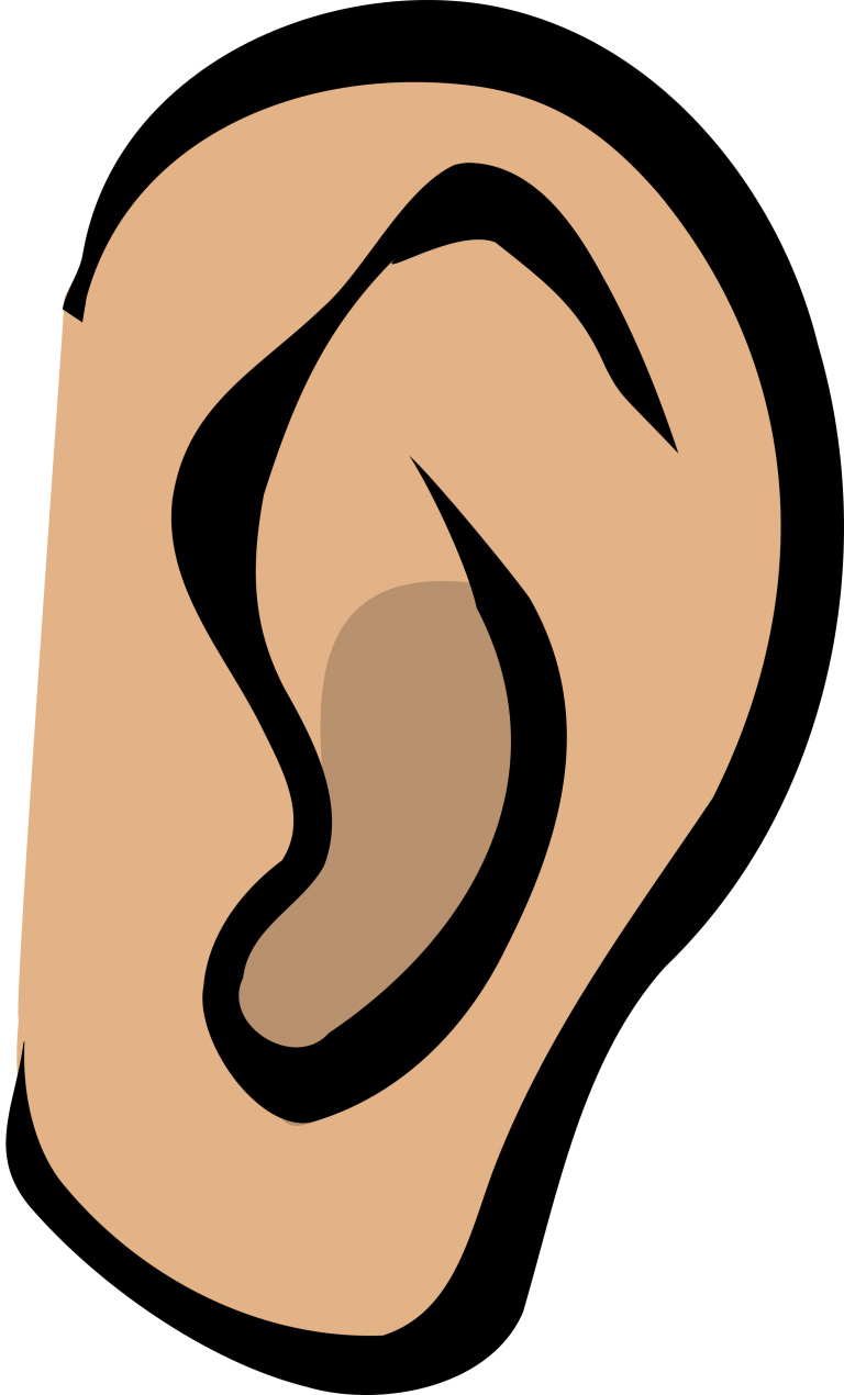 Arquivo de Desenho de orelha para auriculoterapia Páginal Inicial