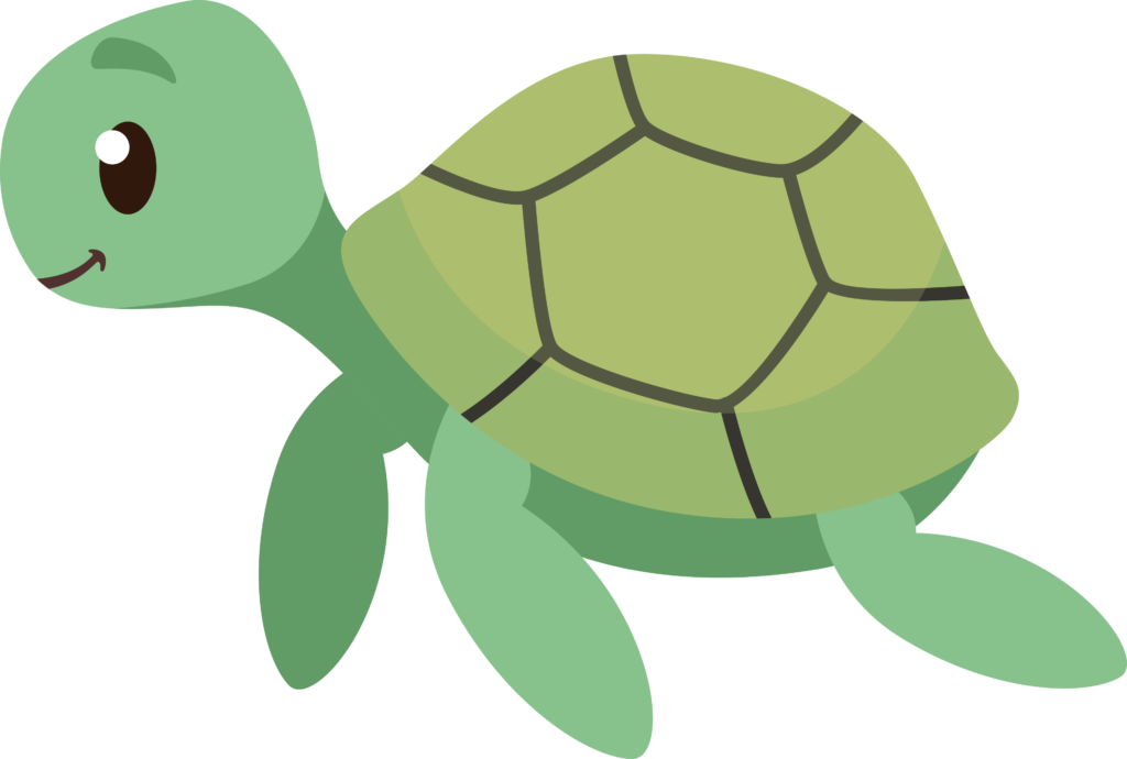 Desenho de uma tartaruga verde