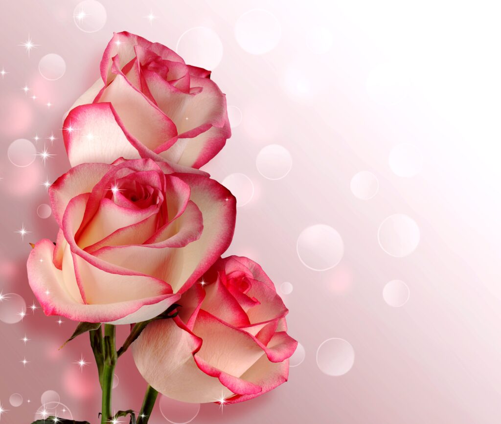 Arquivo de Fundo de rosas lindas - Green PNG