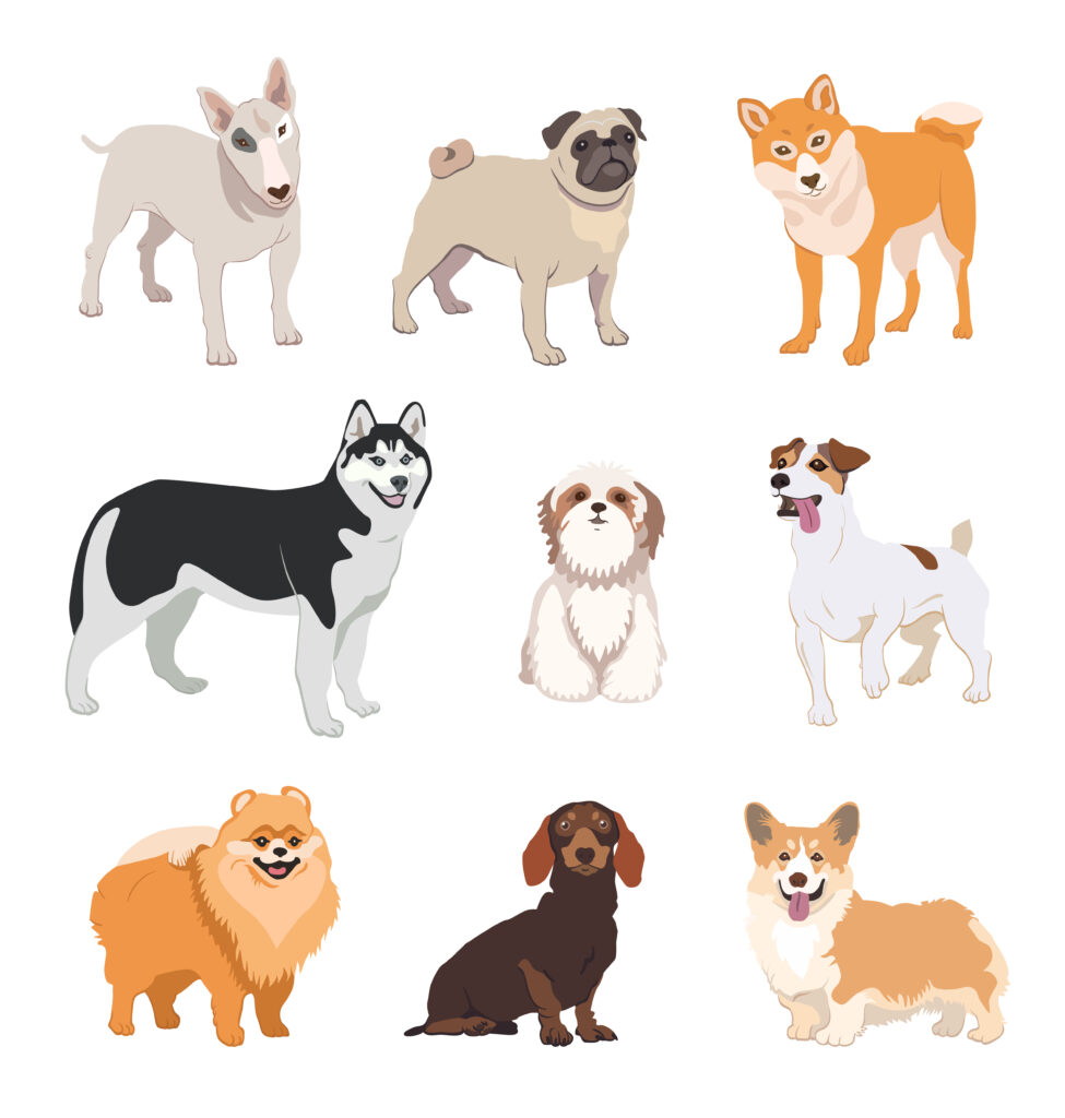 Desenho de raças de cachorros