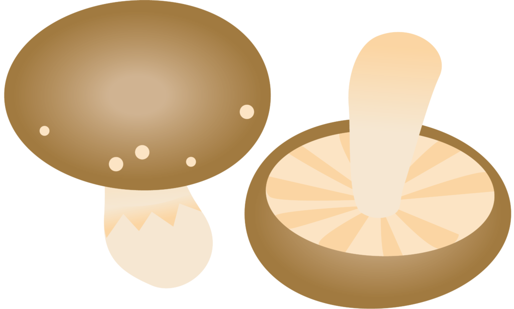 Desenho de um cogumelo shiitake