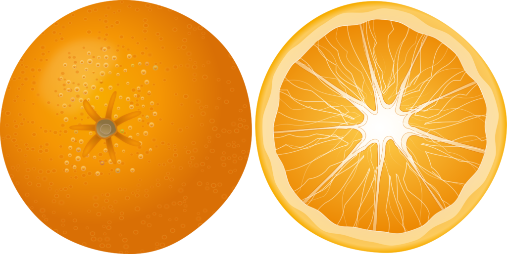 Desenho de uma laranja cortada