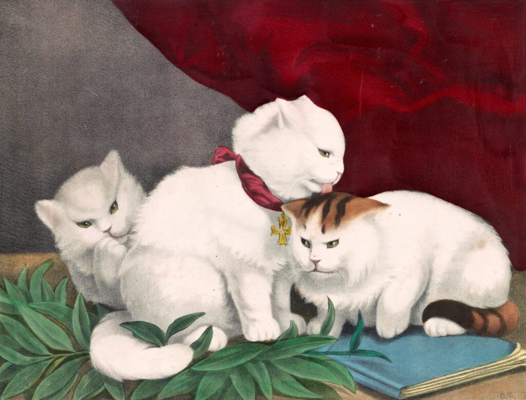 Pintura de 3 gatos brancos