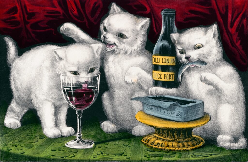 Pinturas de gatos coloridos