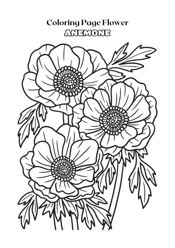 Página para colorir para adultos com flor de anêmona em preto e branco