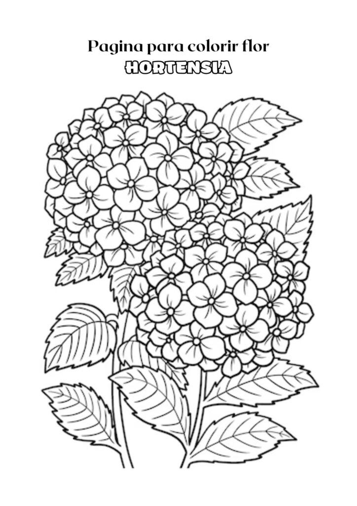 Página para Colorir Adulta em Preto e Branco com Flor de Hortênsia