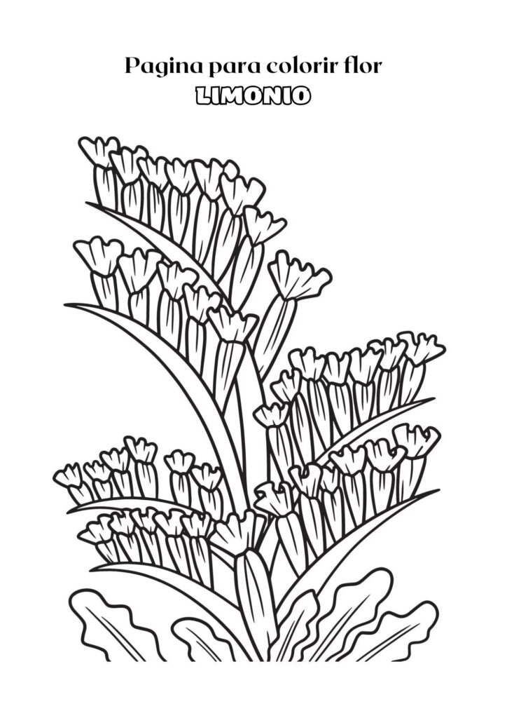 Página para Colorir Adulta em Preto e Branco com Flor de Limonio