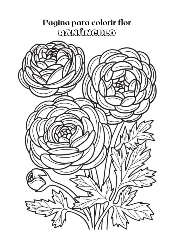 Página para Colorir Adulta em Preto e Branco com Flor de Ranúnculo