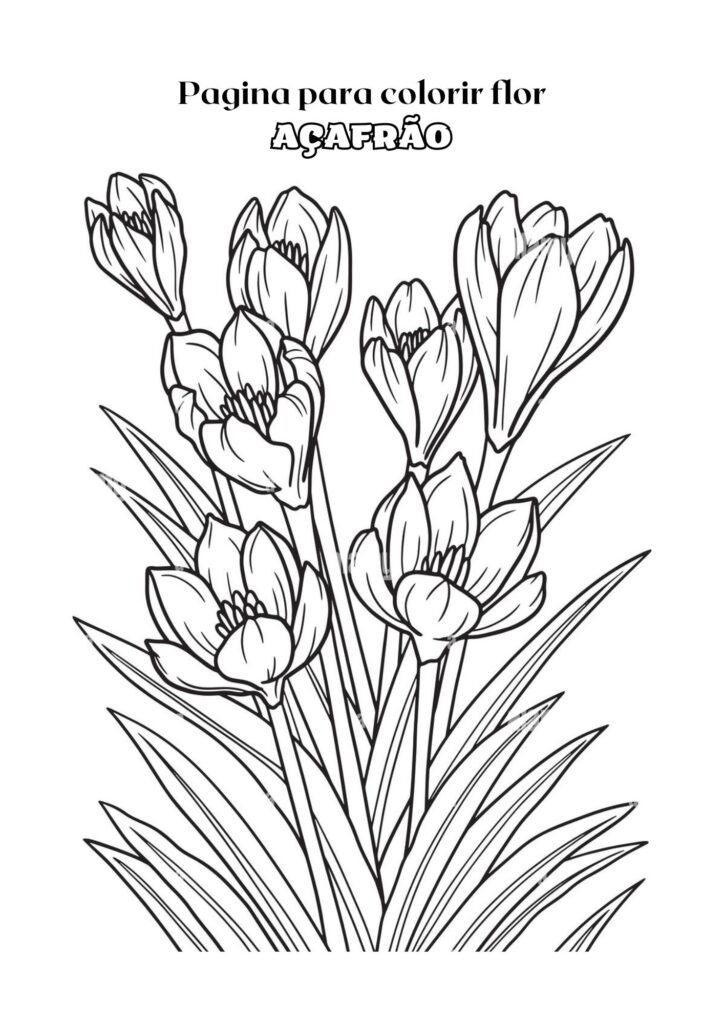 Página para Colorir Adulta em Preto e Branco com flor de Açafrão