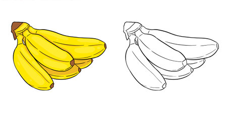Página de colorir de banana