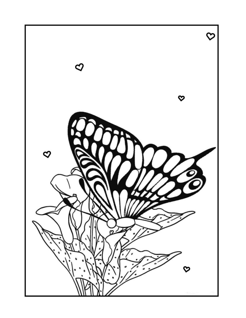 Página para colorir de borboleta e flor