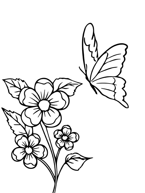 Página para colorir de flores e borboletas