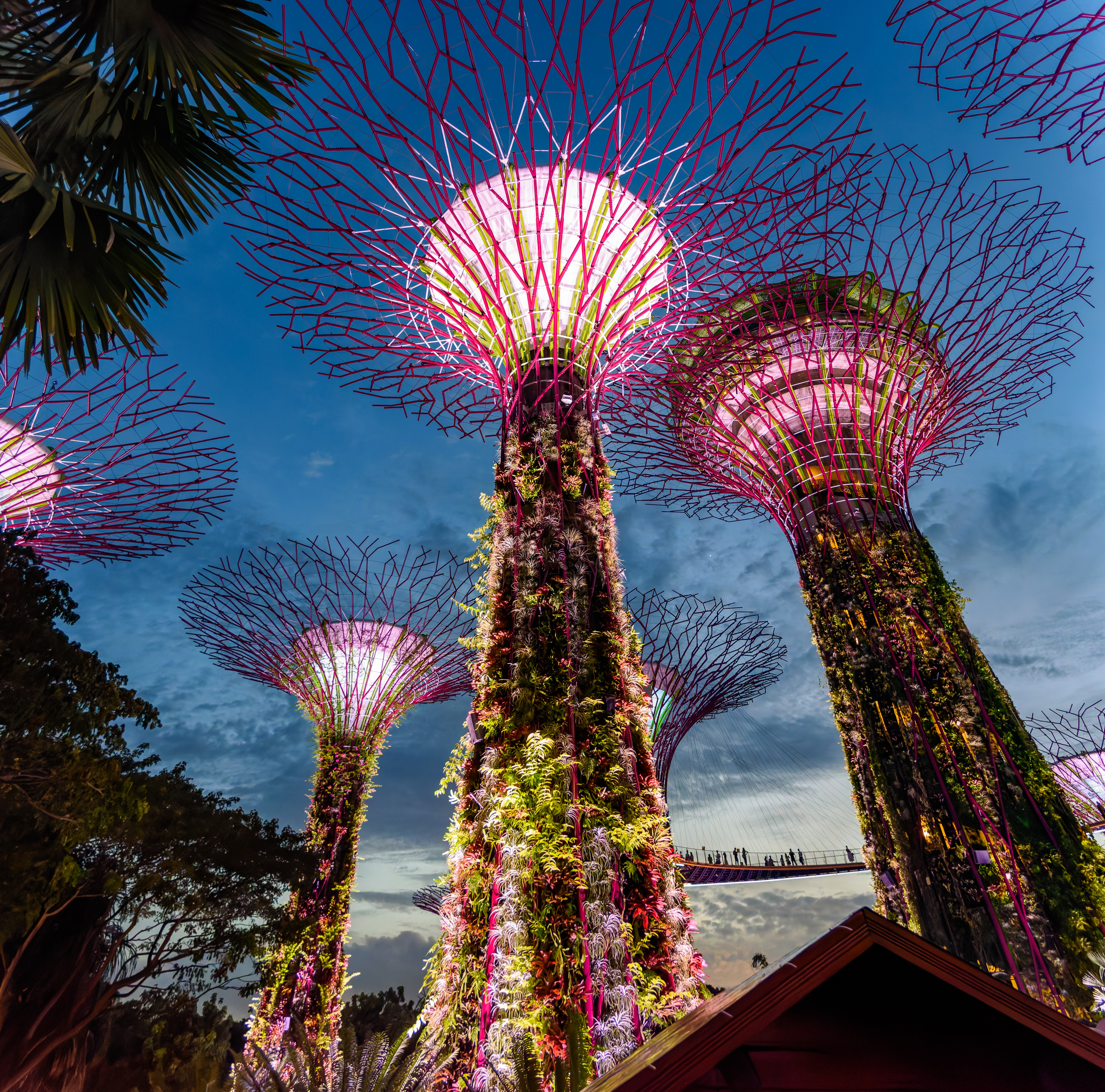 Árvores Supertree Grove em Singapura