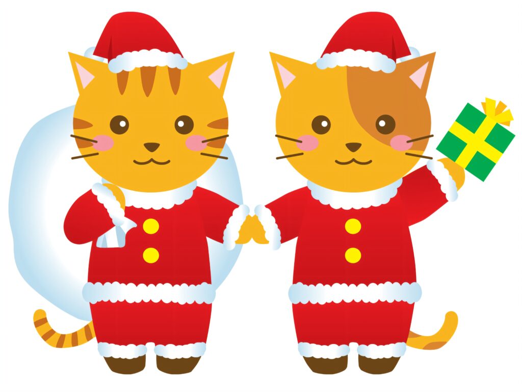 Gatos Vestidos De Papai Noel Com Presente